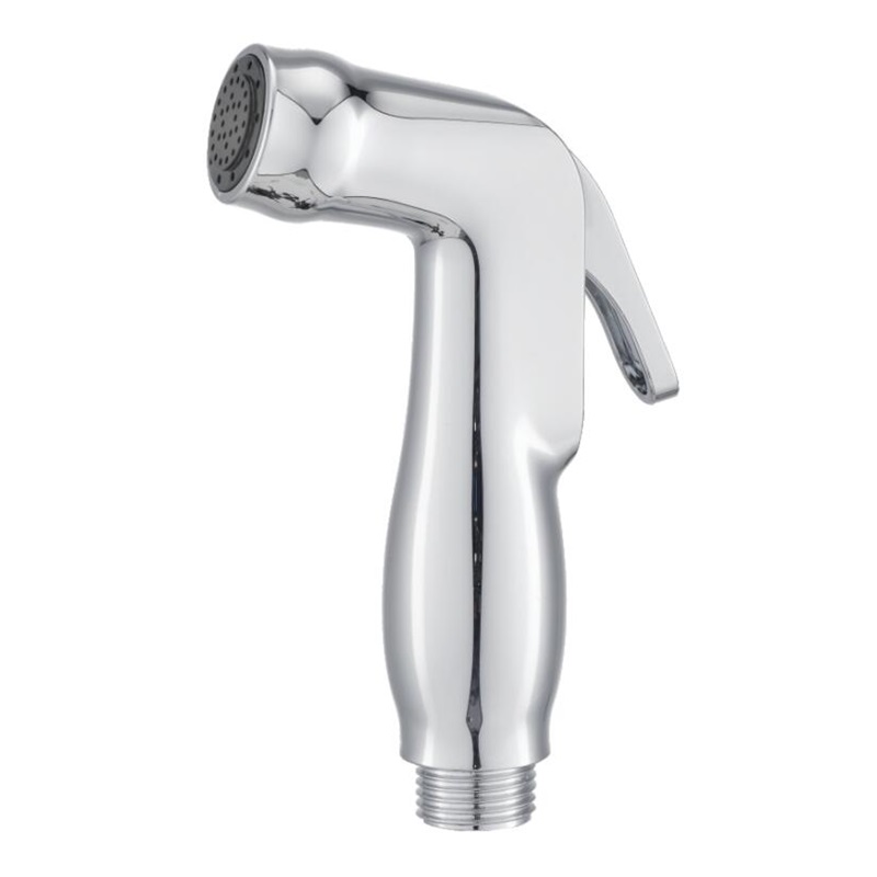 Pulvérisateur de bidet de luxe pour toilettes