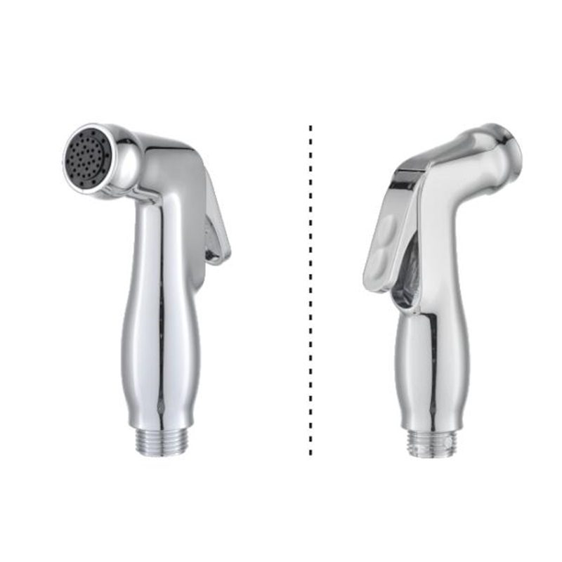 Pulvérisateur de bidet de luxe pour toilettes