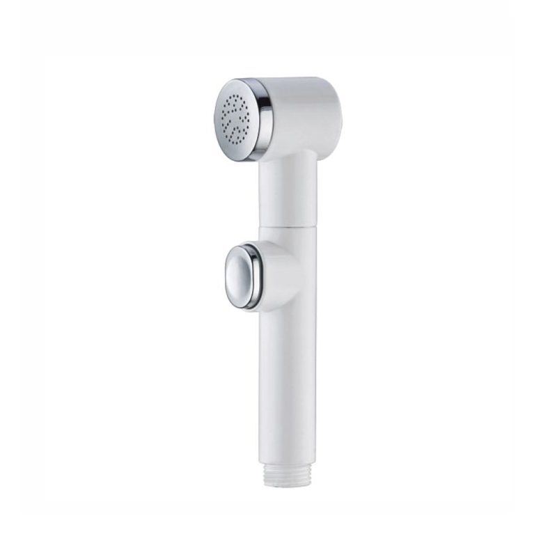 Pulvérisateur de bidet à eau chaude de type push pour toilettes