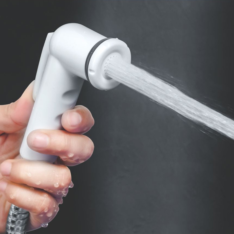 Pomme de douche à main amovible et pulvérisateur de bidet