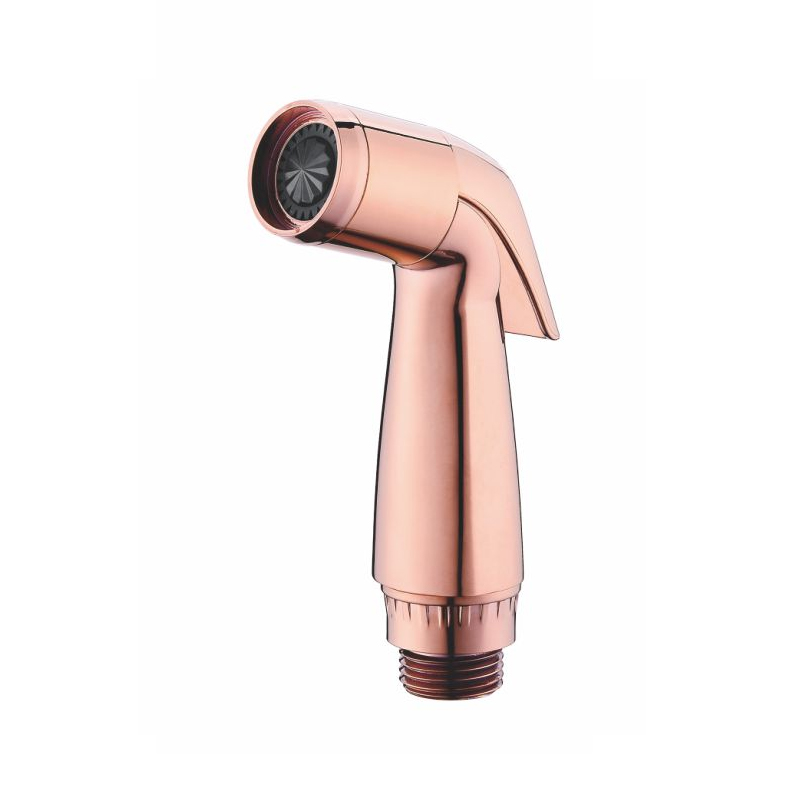 Pulvérisateur de toilette bidet Pulvérisateur de bidet à main