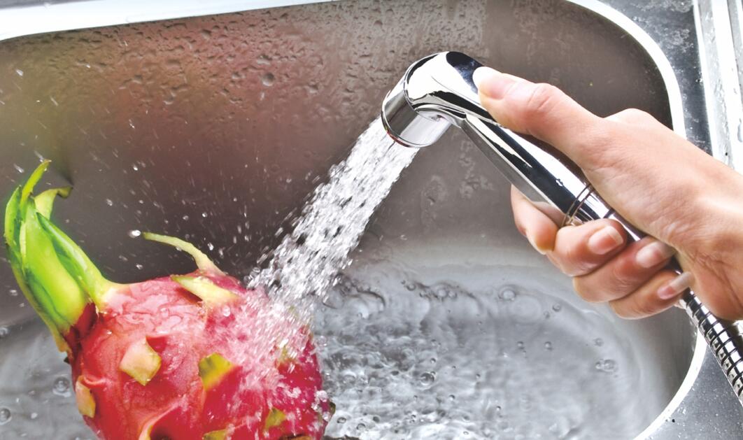 Pulvérisateur de toilette bidet Pulvérisateur de bidet à main